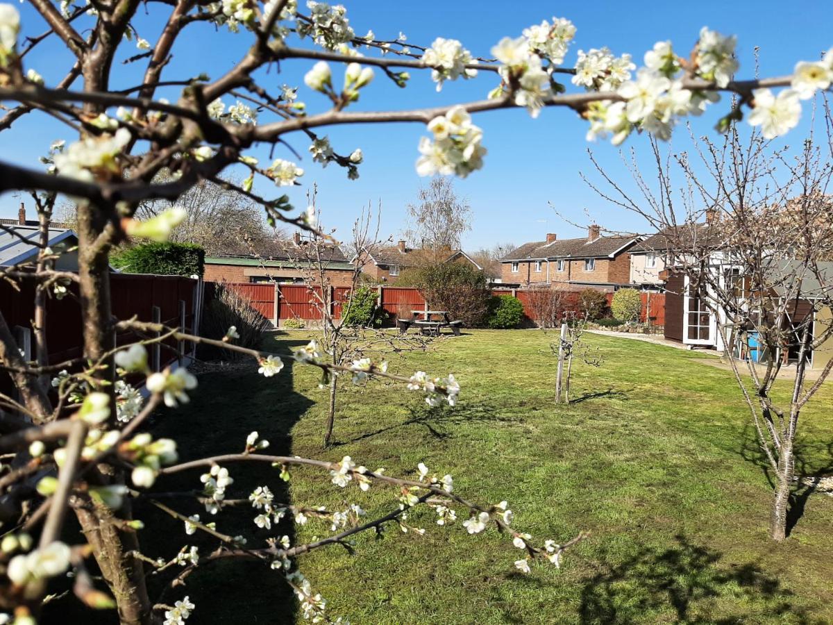 Вилла Huge Garden House For Contractors And Families Оллертон Экстерьер фото