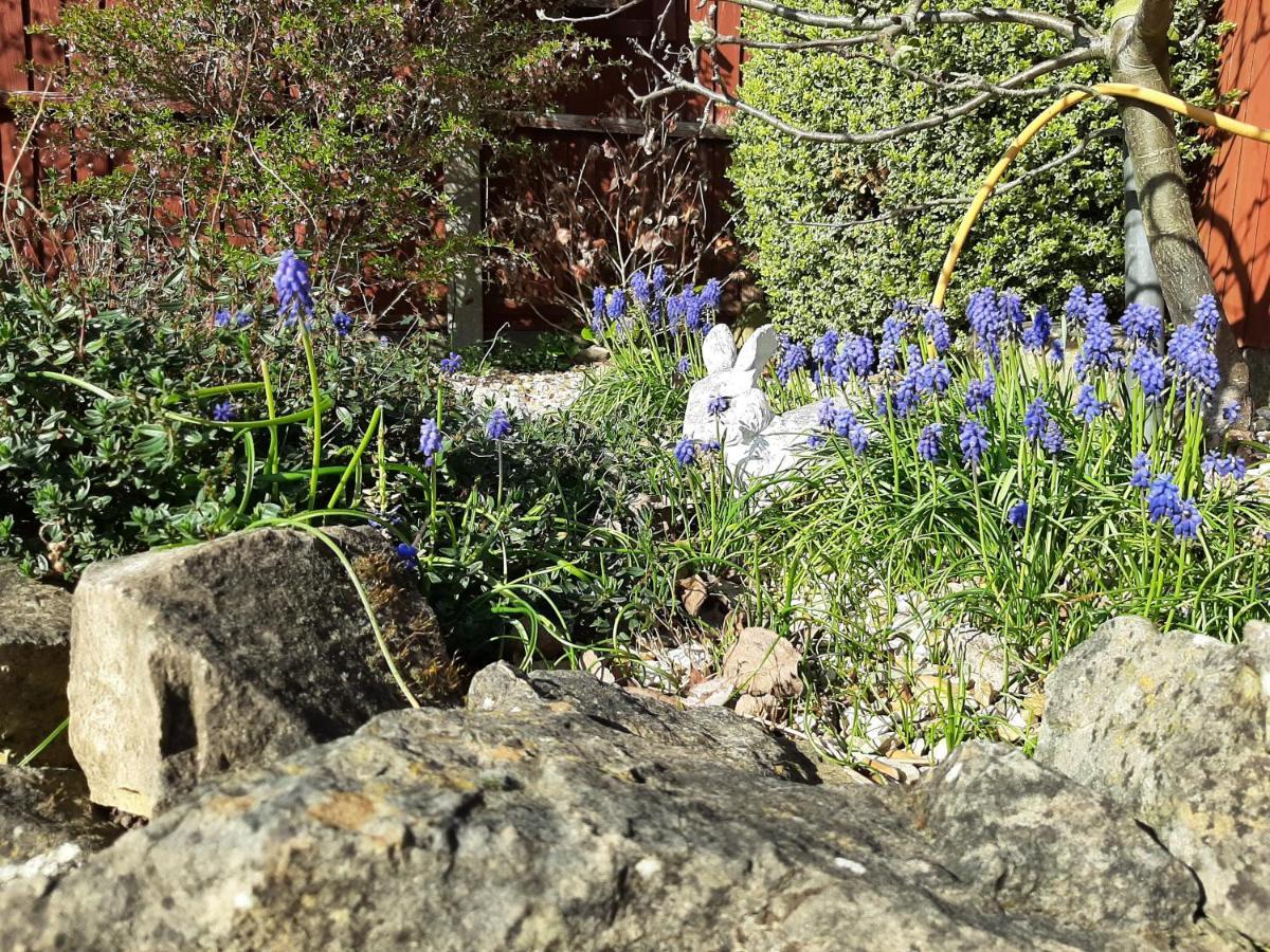 Вилла Huge Garden House For Contractors And Families Оллертон Экстерьер фото